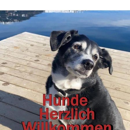 Erlebnis Post - Stadthotel Mit Eigenart Spittal an der Drau Buitenkant foto