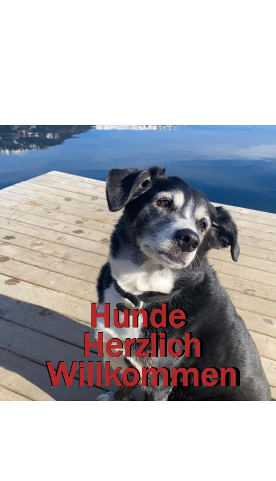 Erlebnis Post - Stadthotel Mit Eigenart Spittal an der Drau Buitenkant foto